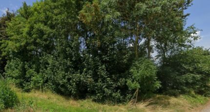 Rumilly-en-Cambrésis Terrain à bâtir - 2428811-7246annonce120260213PD4Jt.jpeg Maisons Open