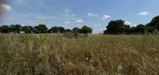 Terrain à bâtir à Saint-Christol, Occitanie