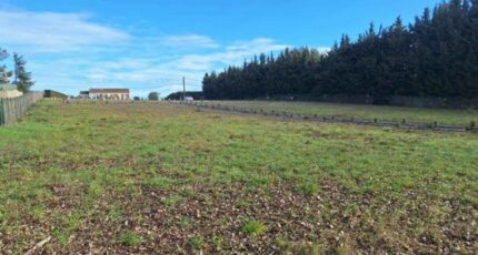 Montréal Terrain à bâtir - 2431067-10986annonce120260216C2aiK.jpeg Maisons Open