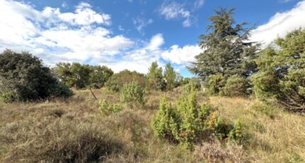 Gras Terrain à bâtir - 2431270-812annonce420251001b4TI0.jpeg Maisons Open