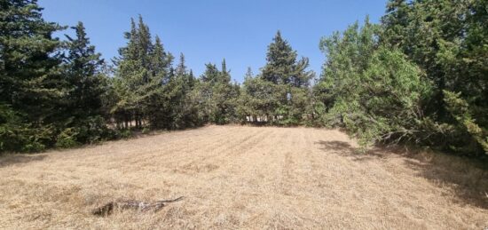 Terrain à bâtir à , Vaucluse