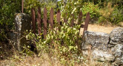 Grillon Terrain à bâtir - 2431285-812annonce22025100153QSM.jpeg Maisons Open