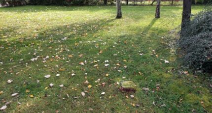 Combs-la-Ville Terrain à bâtir - 2362831-11705annonce120251210Lp0Wk.jpeg Maisons Open