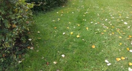 Combs-la-Ville Terrain à bâtir - 2362831-11705annonce2202512108UQXr.jpeg Maisons Open