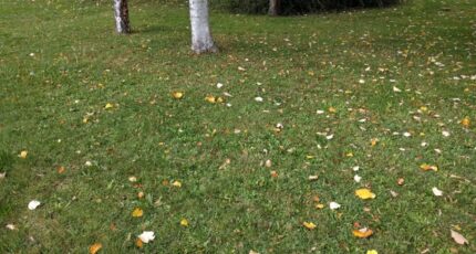 Baulne Terrain à bâtir - 2391935-11705annonce4202602135e7xN.jpeg Maisons Open