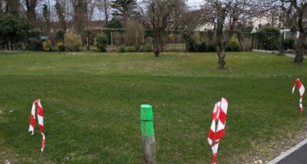 Boissy-le-Châtel Terrain à bâtir - 2391942-11705annonce320260213SV5sT.jpeg Maisons Open