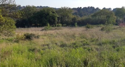 Pierrefeu-du-Var Terrain à bâtir - 2431354-11080annonce320260217aCmxs.jpeg Maisons Open