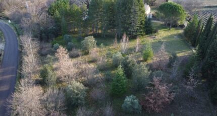 Allan Terrain à bâtir - 2431358-812annonce220241105b9K7s.jpeg Maisons Open