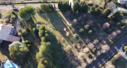 Allan Terrain à bâtir - 2431358-812annonce320241105RdG6l.jpeg Maisons Open