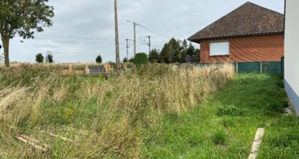 Boiry-Becquerelle Terrain à bâtir - 2431192-5719annonce120260217RwQNI.jpeg Maisons Open