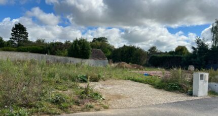 Delincourt Terrain à bâtir - 2431463-11233annonce120260217lgKNC.jpeg Maisons Open