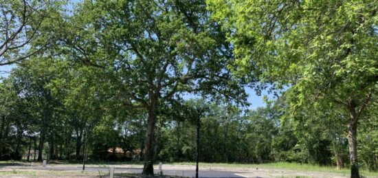 Terrain à bâtir à Saint-Aubin-de-Médoc, Nouvelle-Aquitaine