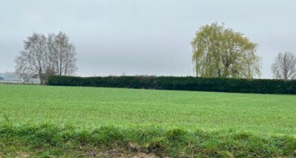 Gonnehem Terrain à bâtir - 2431436-5804annonce120260217RauHB.jpeg Maisons Open