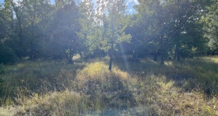 Rocbaron Terrain à bâtir - 2395724-5622annonce120260116A2ivq.jpeg Maisons Open