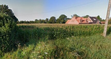 Beuvry-la-Forêt Terrain à bâtir - 2431800-10863annonce120260217xCoNw.jpeg Maisons Open