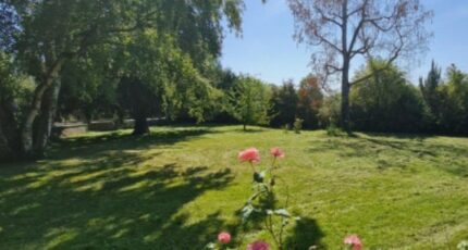 Montlhéry Terrain à bâtir - 2384999-10885annonce120260107IJvCd.jpeg Maisons Open