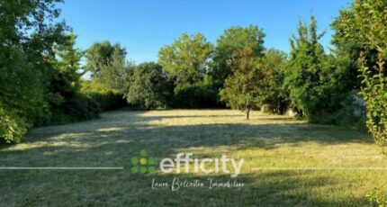 Combs-la-Ville Terrain à bâtir - 2431975-10885annonce120260217GfG2t.jpeg Maisons Open