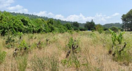 Garéoult Terrain à bâtir - 2432664-10744annonce320250704pdBut.jpeg Maisons Open