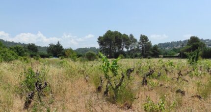 Garéoult Terrain à bâtir - 2432663-10744annonce220250704KTOsC.jpeg Maisons Open