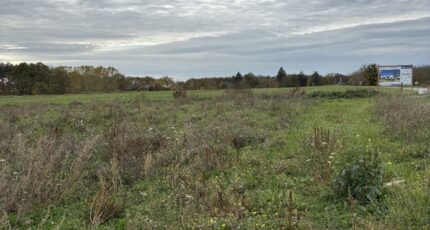 L'Hôtellerie-de-Flée Terrain à bâtir - 2393918-936annonce120260115WEAyn.jpeg Maisons Open