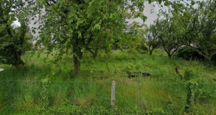 Marseilles-lès-Aubigny Terrain à bâtir - 2432277-11786annonce120260217NxUbM.jpeg Maisons Open