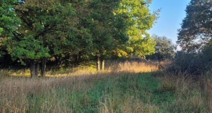 Boissise-le-Roi Terrain à bâtir - 2366903-11657annonce220251212MVy82.jpeg Maisons Open