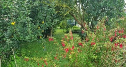 Antony Terrain à bâtir - 2433143-11657annonce220260218WULLP.jpeg Maisons Open