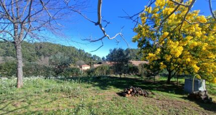 Le Thoronet Terrain à bâtir - 2433398-9911annonce120260218O6Byr.jpeg Maisons Open