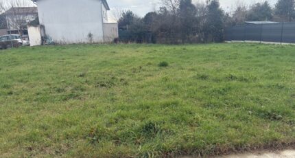 Montech Terrain à bâtir - 2432118-11356annonce2202602172Dv0O.jpeg Maisons Open