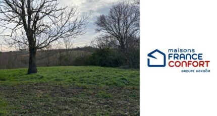 Avignonet-Lauragais Terrain à bâtir - 2432257-11450annonce320260217aeDcQ.jpeg Maisons Open