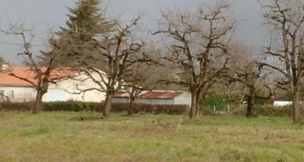 Saint-Pierre-sur-Dropt Terrain à bâtir - 2433573-10776annonce120260218qxiPQ.jpeg Maisons Open