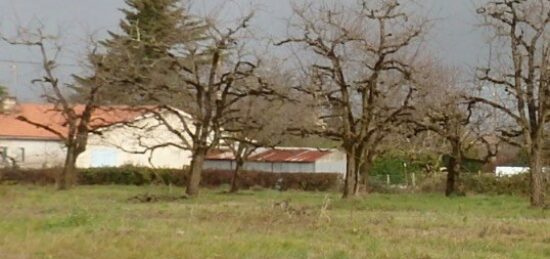 Terrain à bâtir à Saint-Pierre-sur-Dropt, Nouvelle-Aquitaine
