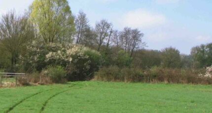 Taverny Terrain à bâtir - 2427168-11143annonce120260212ULy9m.jpeg Maisons Open