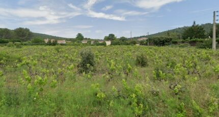 Garéoult Terrain à bâtir - 2395640-11137annonce220260116ivc0C.jpeg Maisons Open