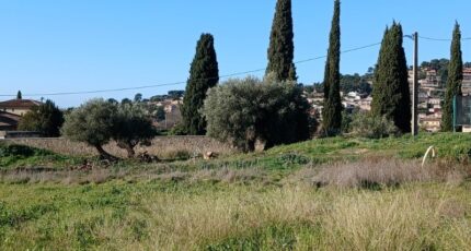 Ollioules Terrain à bâtir - 2433879-9707annonce32026021906o1W.jpeg Maisons Open