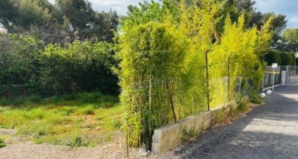 Bandol Terrain à bâtir - 2433890-9707annonce220260219dkJgh.jpeg Maisons Open