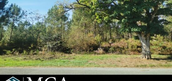 Terrain à bâtir à Le Porge, Nouvelle-Aquitaine