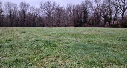 Ribérac Terrain à bâtir - 2434036-9455annonce120260219AwzEr.jpeg Maisons Open