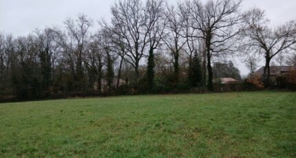 Ribérac Terrain à bâtir - 2434036-9455annonce2202602198KwRV.jpeg Maisons Open