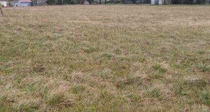 Verteillac Terrain à bâtir - 2433997-9455annonce120260219LE9eH.jpeg Maisons Open