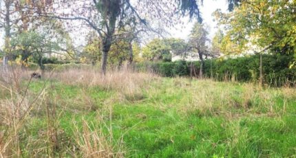 Saint-Leu-la-Forêt Terrain à bâtir - 2434236-11688annonce12026021941iQH.jpeg Maisons Open