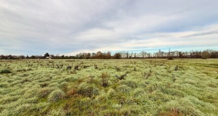 La Force Terrain à bâtir - 2434280-11709annonce320260219HsstC.jpeg Maisons Open