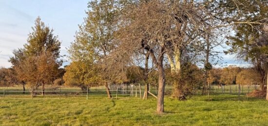 Terrain à bâtir à , Dordogne