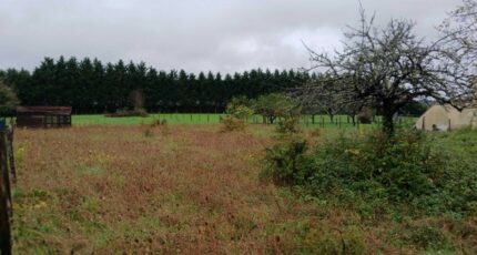 Tocane-Saint-Apre Terrain à bâtir - 2434179-9455annonce120260219UPo2r.jpeg Maisons Open