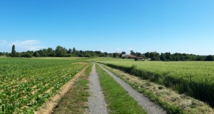 Chevreuse Terrain à bâtir - 2434381-10686annonce120250708I6GXI.jpeg Maisons Open