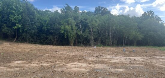 Terrain à bâtir à Balizac, Nouvelle-Aquitaine