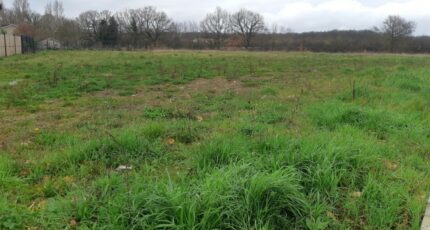 Gratentour Terrain à bâtir - 2432826-5202annonce320260218wnvf3.jpeg Maisons Open