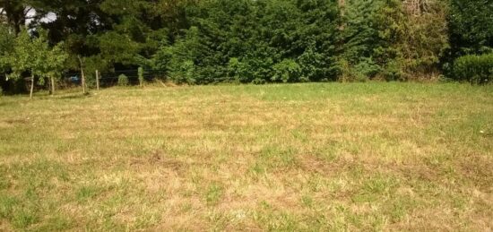 Terrain à bâtir à Castelnau-de-Médoc, Nouvelle-Aquitaine