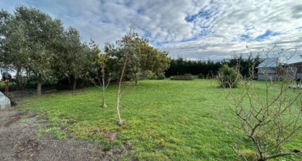 L'Île-d'Olonne Terrain à bâtir - 2392746-10920annonce120260114MJxCm.jpeg Maisons Open