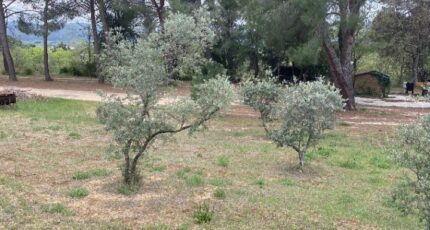 Cadenet Terrain à bâtir - 2435048-7060annonce320230609WhhVB.jpeg Maisons Open